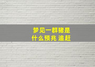 梦见一群猪是什么预兆 追赶